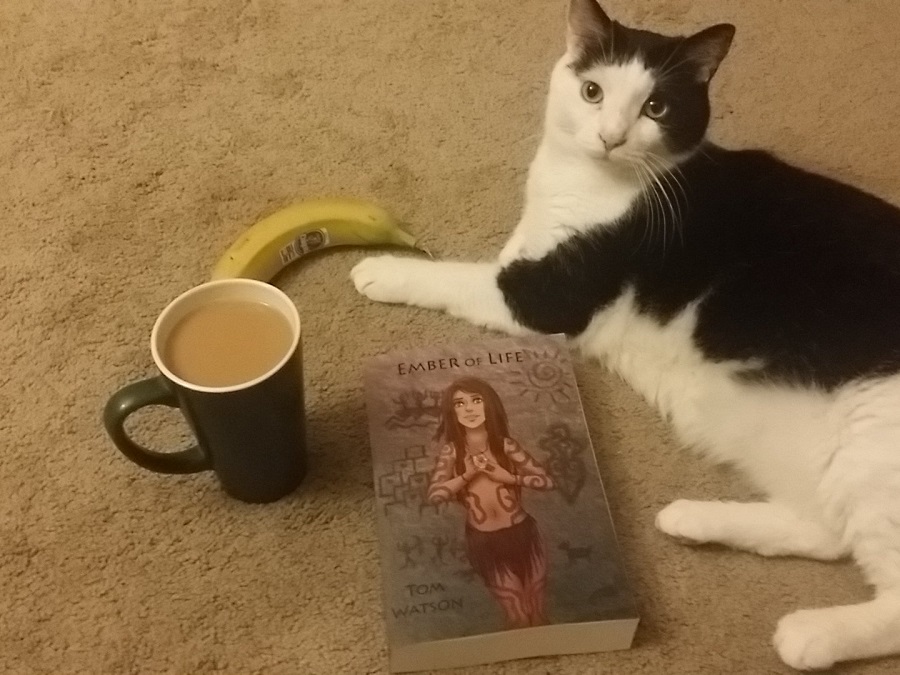 Little Mu (one of Ishtar's cats), a copy of Ember of Life, and a coffee